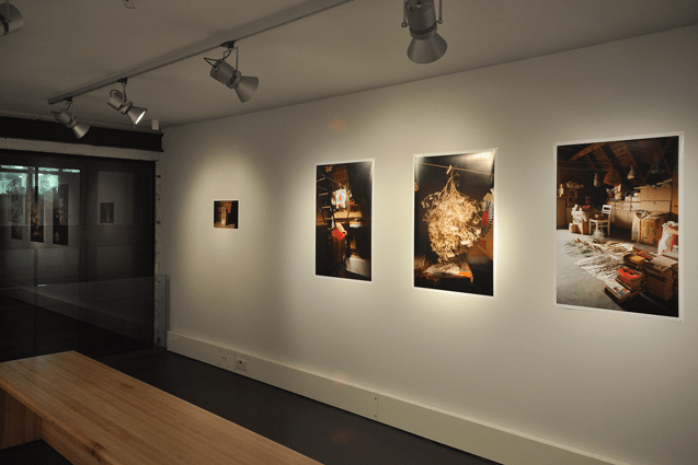 Installation-view-Jane-Beran-2