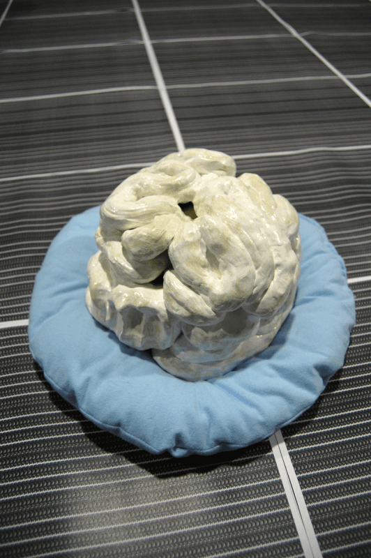 4.-Hamish-Chapman,-Votive-Brain,-2015-copy