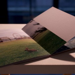 Barbara Loisch - Barbara Loisch - La cerise sur le gâteau