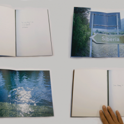 Barbara Loisch - Barbara Loisch - La cerise sur le gâteau