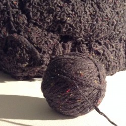 Barbara Loisch - Harvest