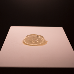 Barbara Loisch - 76 unfulfilled wishes