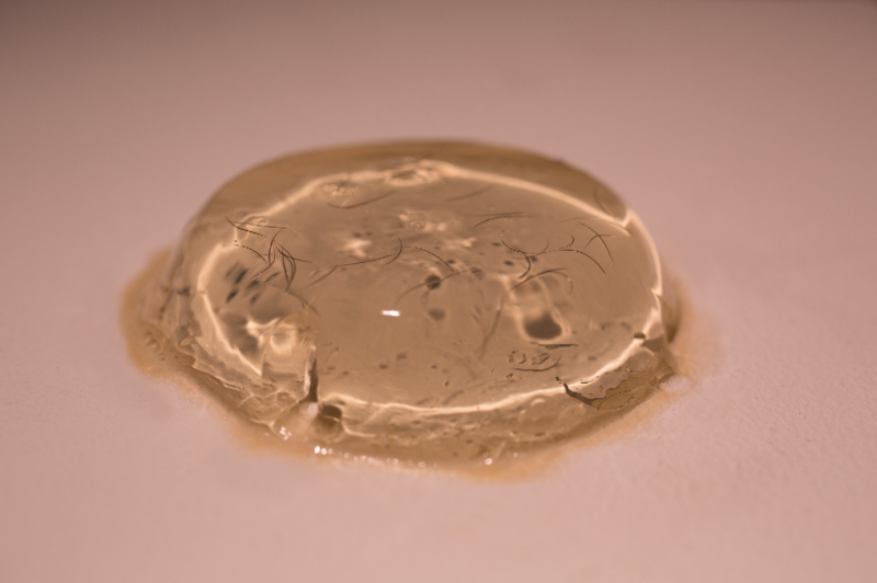 Barbara Loisch - 76 unfulfilled wishes