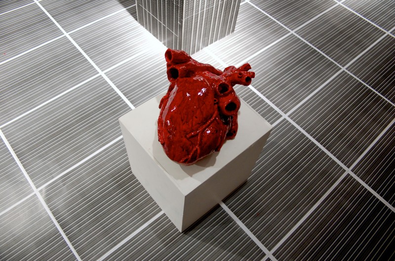 2. Hamish Chapman, The Hollow Muscular Organ, 2015 copy